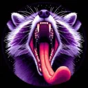 dtk_raccoon