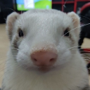 avatar ⠅⠁⠗⠁⠎⠊⠅