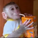 zanejay21