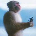 kamn8r