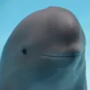 kagami_le_beluga
