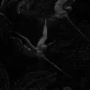 sinecuren