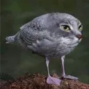 1takedbw