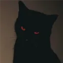 .dividedvex avatar