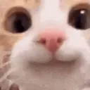Nya ♥