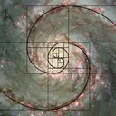 goldenratiostaking