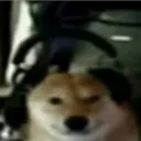 rangerequalsdanger