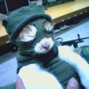 avatar ☘☭𝕮𝖍𝖊𝖘𝖈𝖔 𝖉𝖊 𝖑𝖎𝖒☢𝖓☭☘