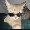 steve.rr