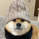 puffer0000