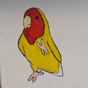 Discord Avatar
