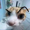 sahusa