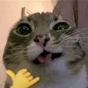 authip