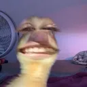 sanjnone