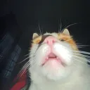 d_ef1