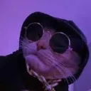 zdxqressedstan