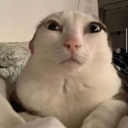 saletromboss's Avatar