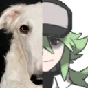 aasigan avatar