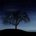 .theunknownuser_ avatar
