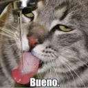 rarni_e