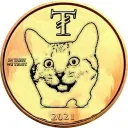 teamtabby.