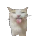 zpagler