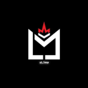 Team Member 2