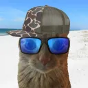 tompedro
