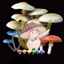 doomtheshroom