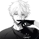 starlitcorvin