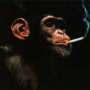 avatar soge