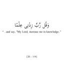 al_albanii