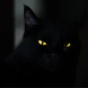 tizcmb