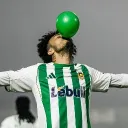 passarinho___69