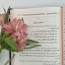 avatar القلب الدافئღ