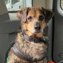 avatar HeyImNickCage