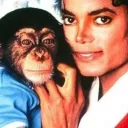 bubblesthechimp