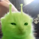 zicccc