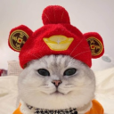 avatar Une pomme de terre