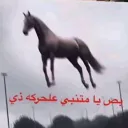 s_mv