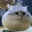 elgran_minero avatar