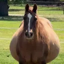 theloneliestplaceiveeverbeen