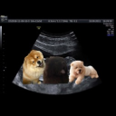 avatar ૮ ྀིᴗ͈ . ᴗ͈ ྀིა