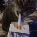 passwor.d