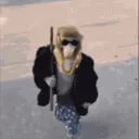 falii