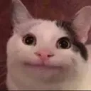belugathecat0326