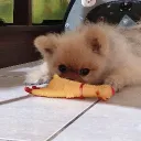 davewatchanime
