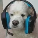 alexmac24