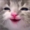 Yuki. avatar