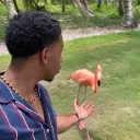 jojorr